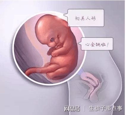 健闻医疗